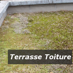 Entretien terrasse toiture